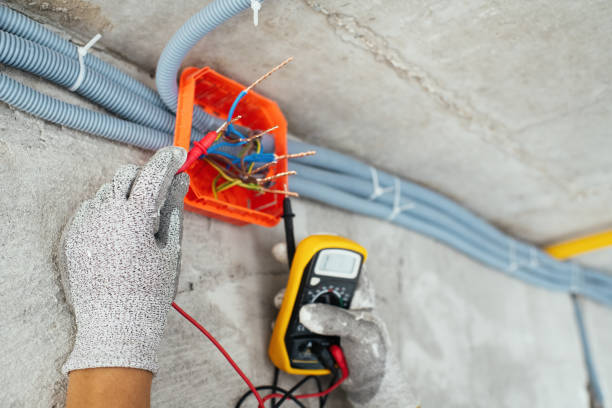 Best Electric Panel Repair  in Goddard, KS